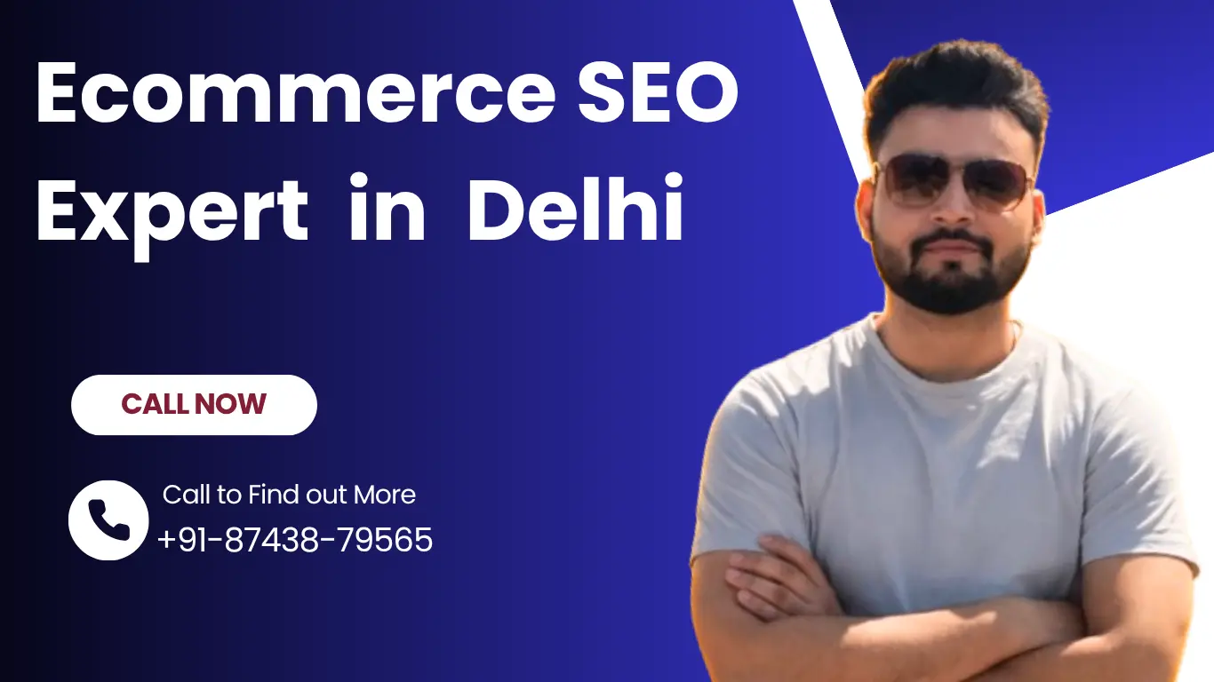 Ecommerce SEO Expert in Delhi